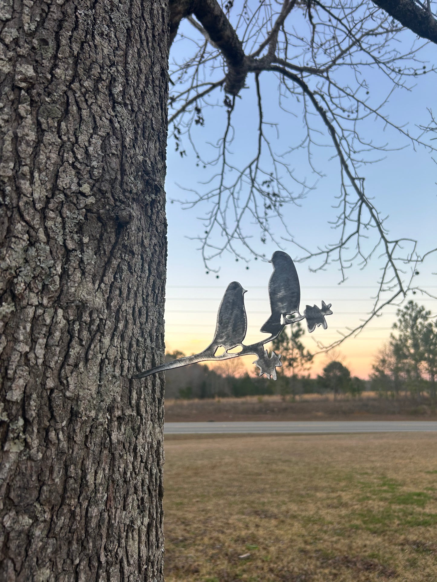 Bird tree stake