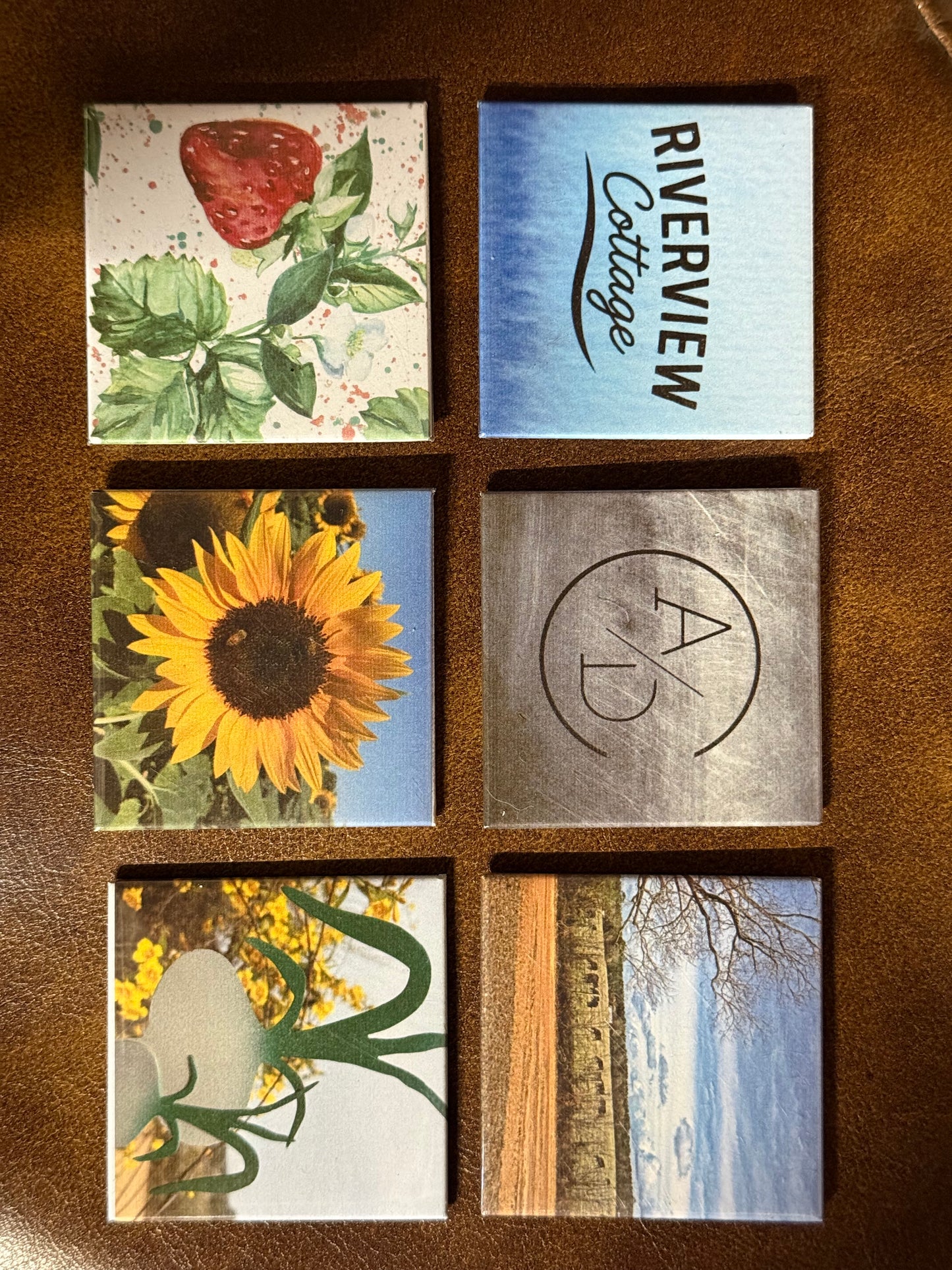 Memory Bundle – 50-Pack Magnet Set