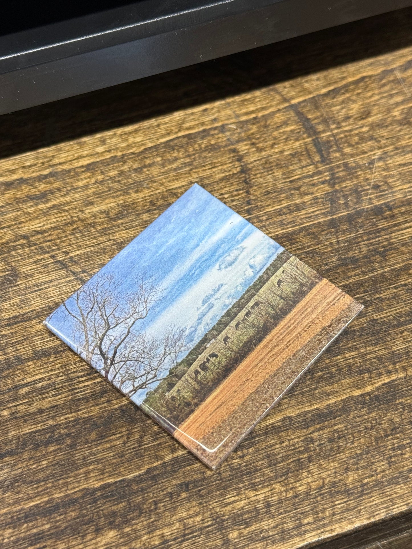 Treasured Moment - Single Magnet