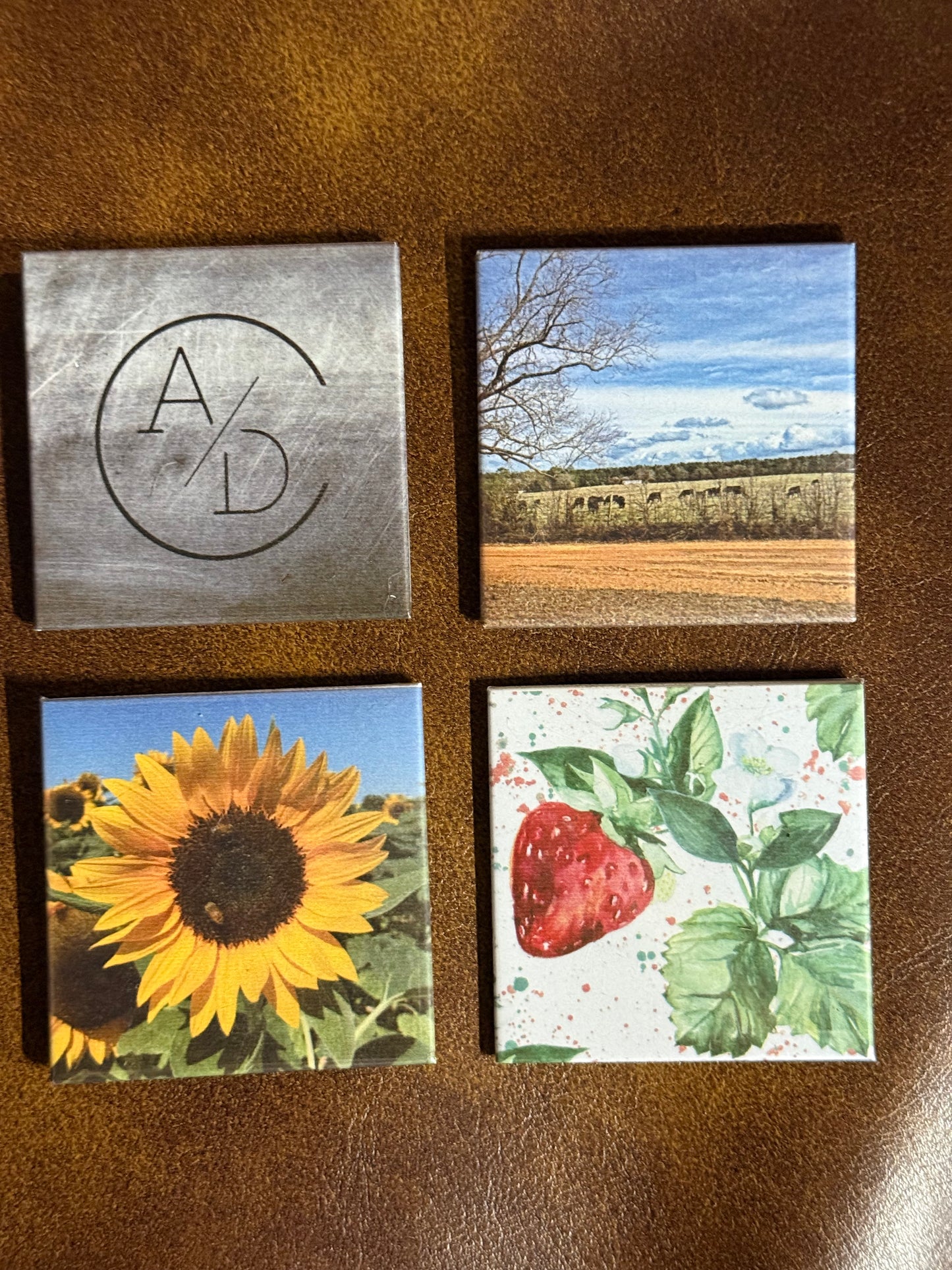 Mini Memories – 4-Pack Magnet Set
