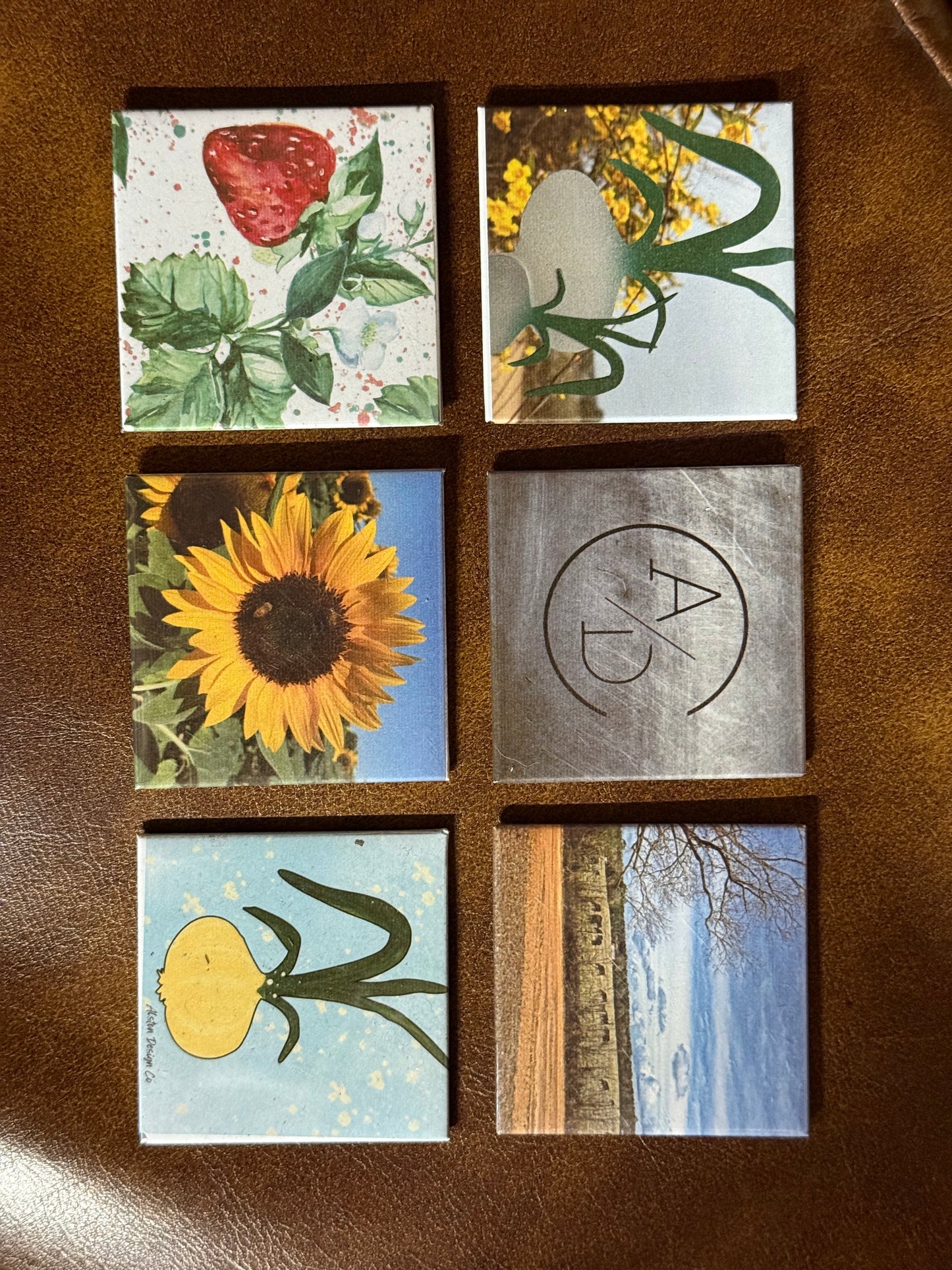 Celebration Pack – 20-Pack Magnet Set